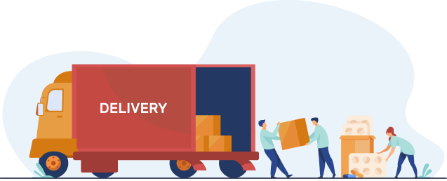logistics software development process
